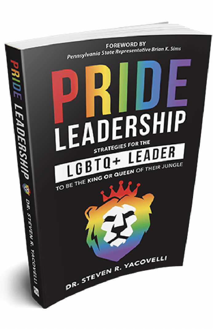 The gay leadership dude book cover